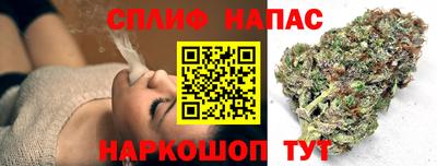винт Партизанск