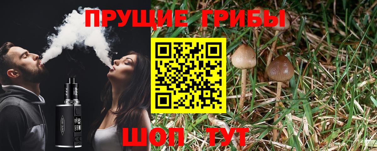 Семилуки  Галлюциногенные грибы Psilocybe  Вход с VPN 