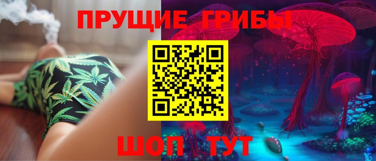 Псилоцибиновые грибы GOLDEN TEACHER Семилуки